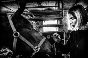 Villadsen researcher heste. Foto: Kajsa Gullberg